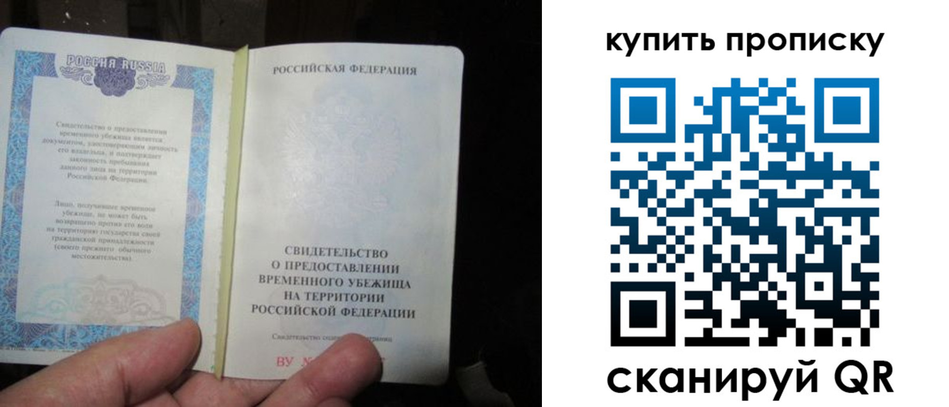 прописка 2025 в Липецке
