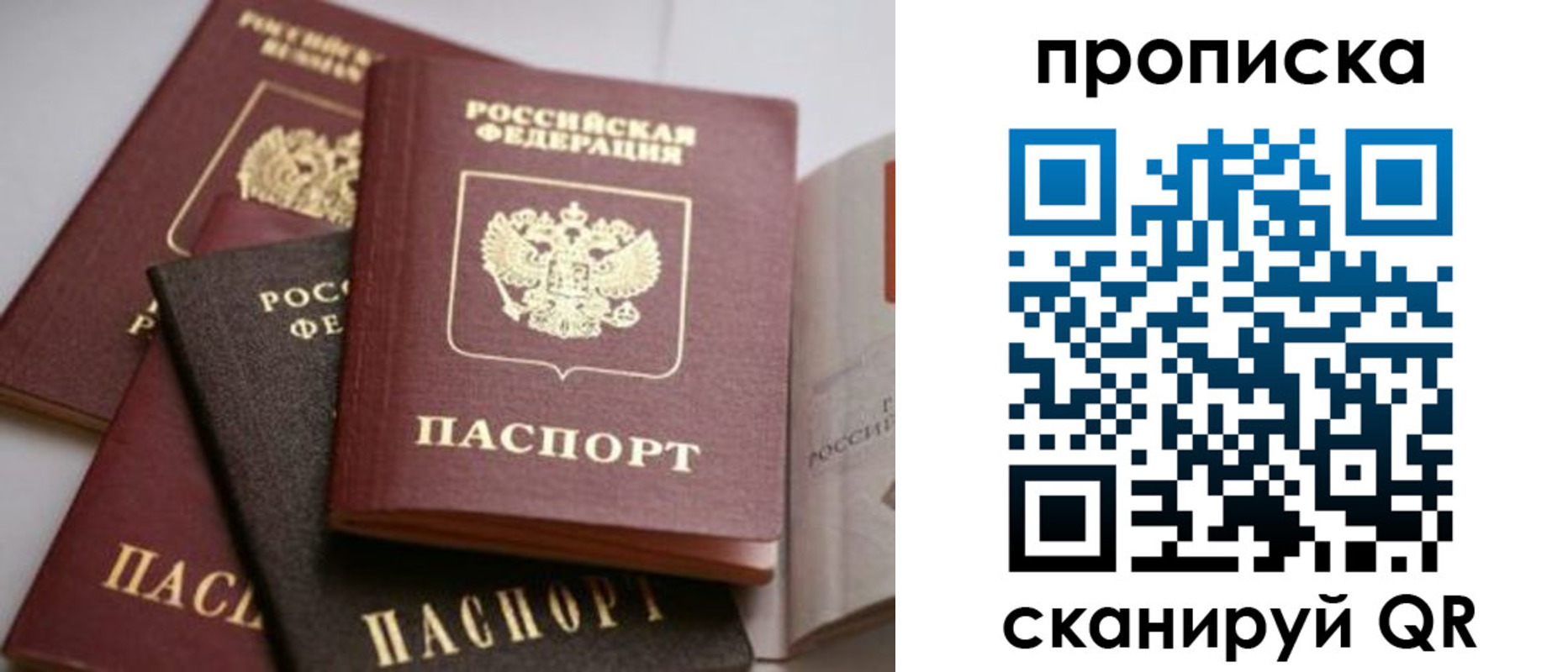 временная регистрация надежно в Липецке